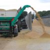 Using Crimp Grain to offset rising feed costs