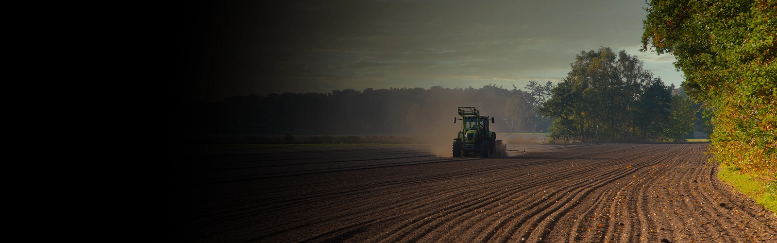 Tips For Successful Grassland Reseeding this Spring