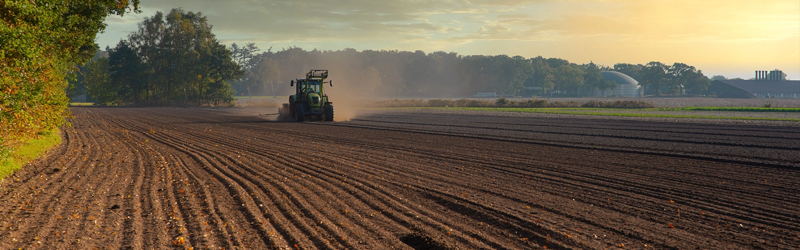 How to Select the Right Grass Seed Variety and Maximise Your Grazing Potential