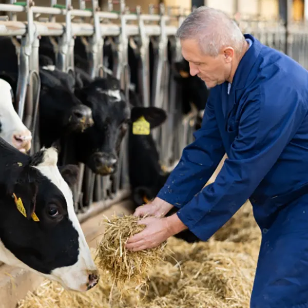 Experts in the Field of Animal Nutrition