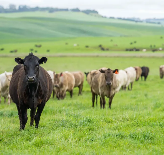 Sustainability-img Specialist Nutrition is committed to powering farm performance sustainably